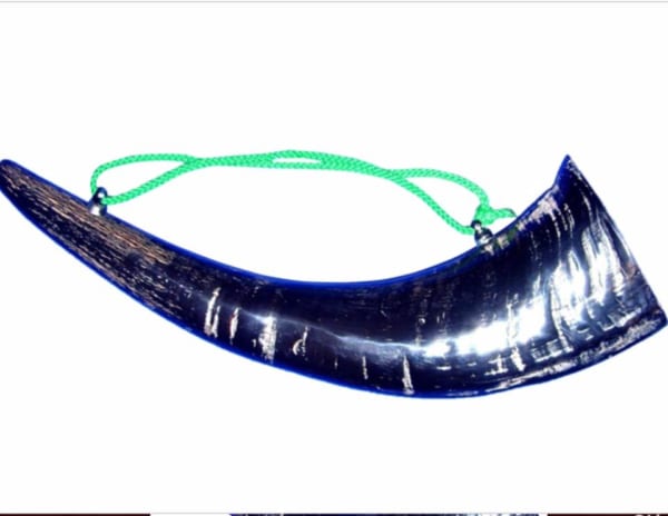 40192428_488252378252591_6756475364723130368_n