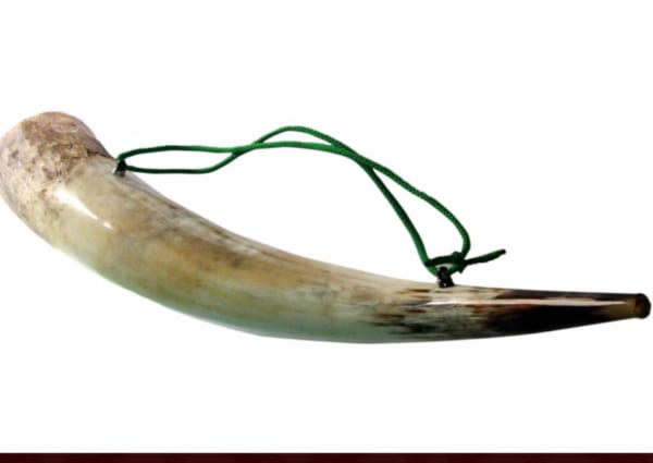 40221150_488252381585924_7939817087600427008_n