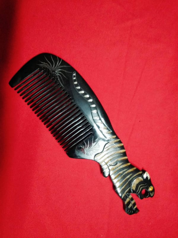 69418142_1437960603026217_641191548746203136_n