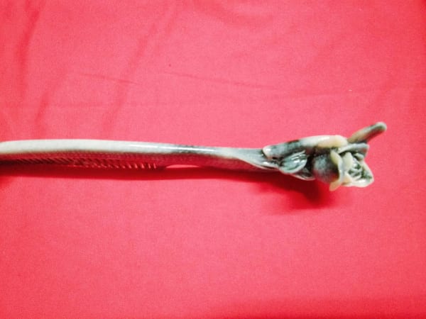 75360999_2451483351845523_6962925646548828160_n